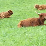 Jedlerhof *