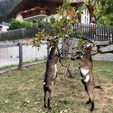 Jedlerhof * Neustift im Stubaital