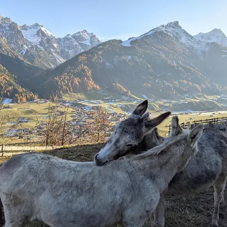 Apartment Jedlerhof *
