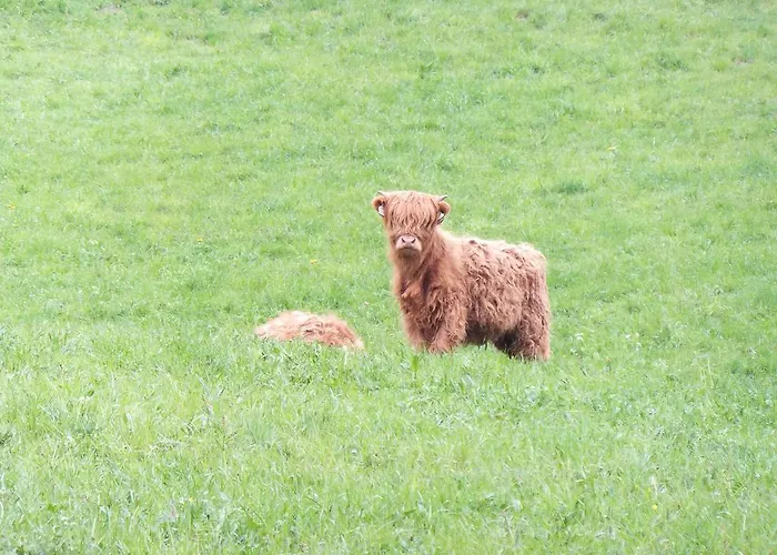 Jedlerhof Διαμέρισμα