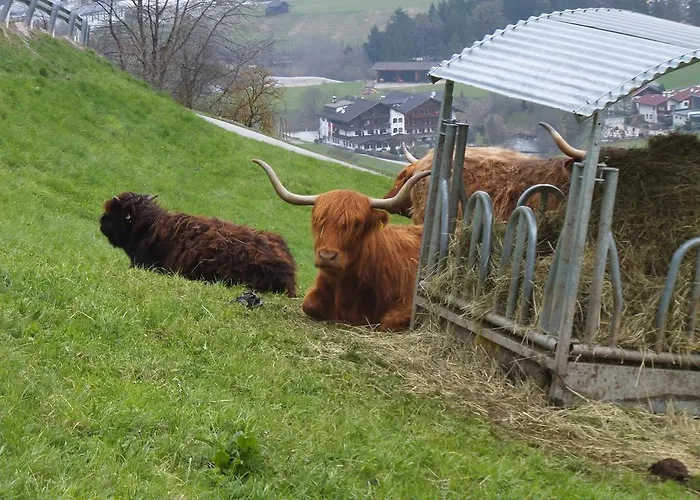 Διαμέρισμα Jedlerhof *