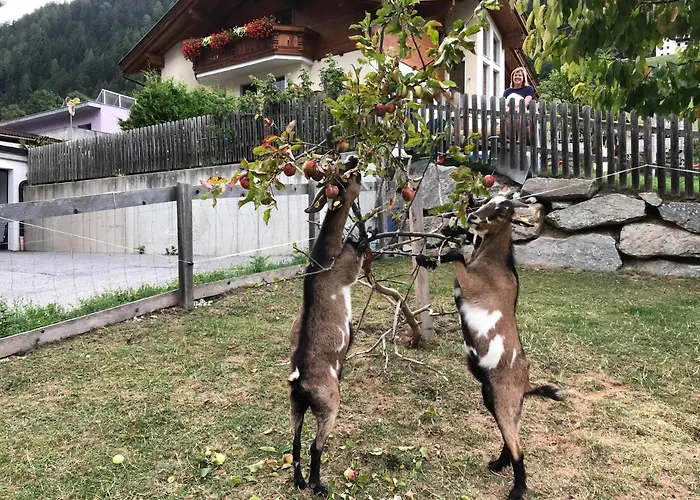 Jedlerhof * 施图拜河谷新施蒂夫特