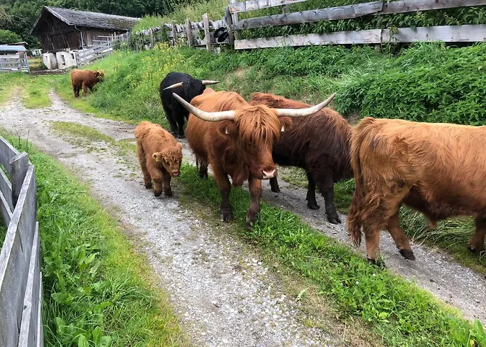 Jedlerhof Διαμέρισμα Neustift im Stubaital