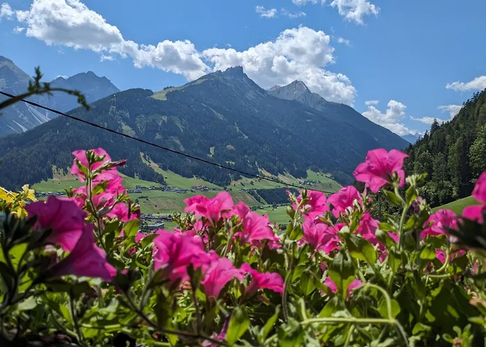 Jedlerhof Διαμέρισμα *