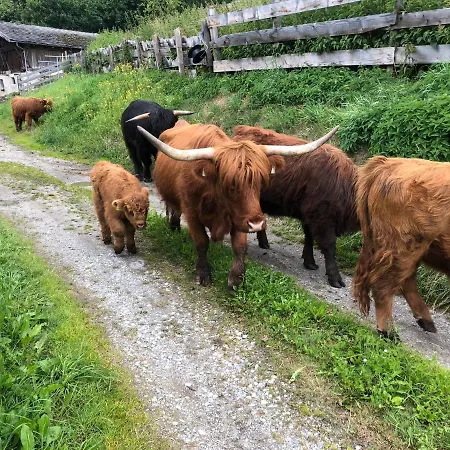 Jedlerhof Apartmán Neustift im Stubaital