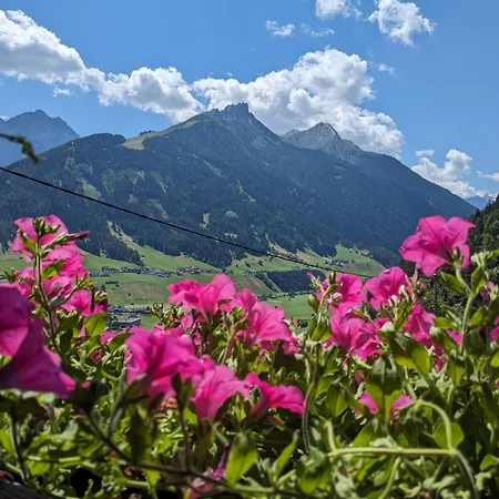 Jedlerhof Apartmán *